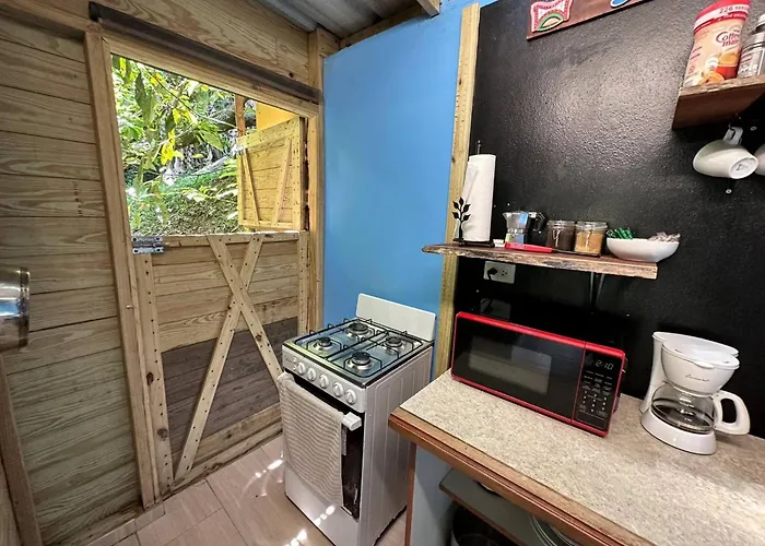 Tiny Cozy Mountain Cabin Peaceful Retreat In Cayey